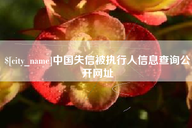 灌南中国失信被执行人信息查询公开网址