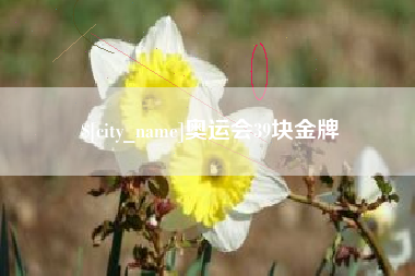 灌南奥运会39块金牌