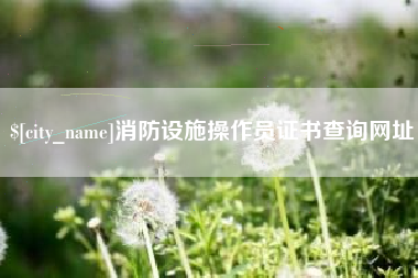 灌南消防设施操作员证书查询网址