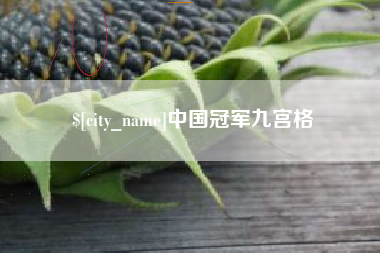 灌南中国冠军九宫格