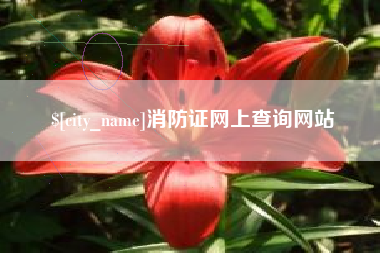 灌南消防证网上查询网站