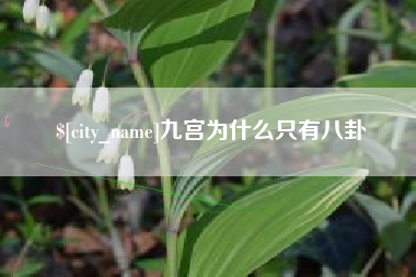 灌南九宫为什么只有八卦