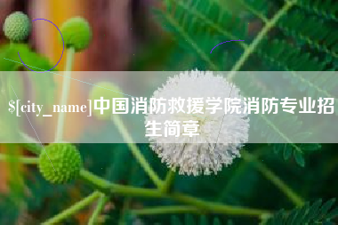 灌南中国消防救援学院消防专业招生简章