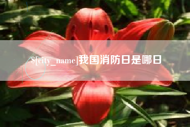 灌南我国消防日是哪日