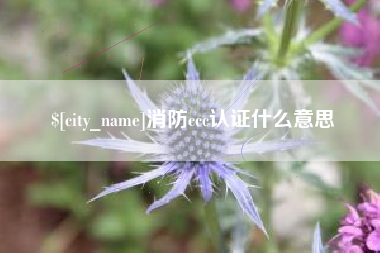 灌南消防ccc认证什么意思