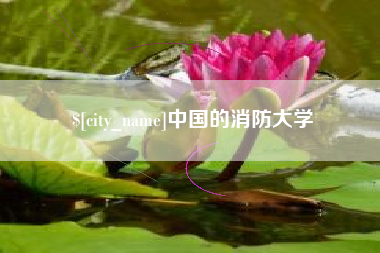 灌南中国的消防大学