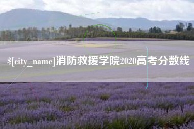 灌南消防救援学院2020高考分数线