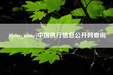 灌南中国执行信息公开网查询