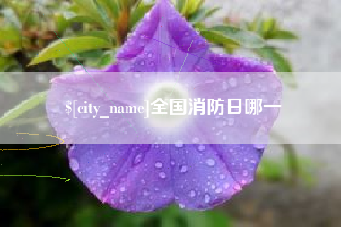 灌南全国消防日哪一