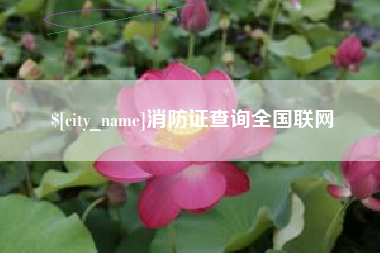 灌南消防证查询全国联网