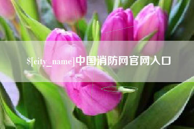 灌南中国消防网官网入口