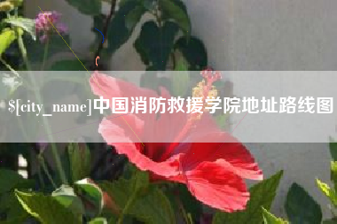 灌南中国消防救援学院地址路线图