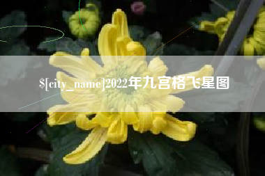 灌南2022年九宫格飞星图