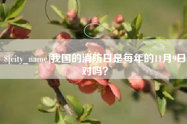灌南我国的消防日是每年的11月9日对吗？