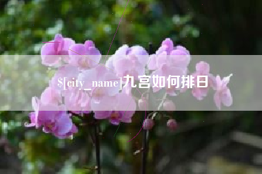 灌南九宫如何排日