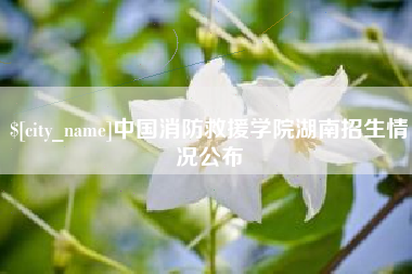 灌南中国消防救援学院湖南招生情况公布