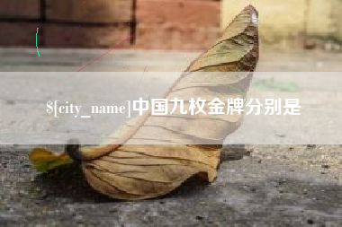 灌南中国九枚金牌分别是