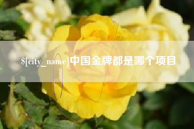 灌南中国金牌都是哪个项目