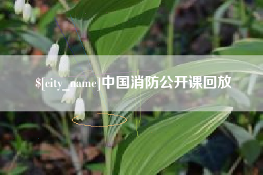 灌南中国消防公开课回放