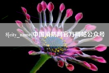 灌南中国消防网官方网站公众号