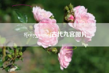 灌南古代九宫图片