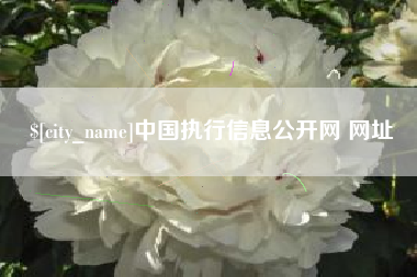 灌南中国执行信息公开网 网址