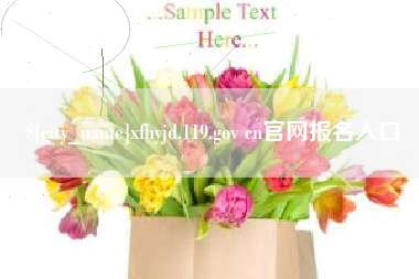 灌南xfhyjd.119.gov cn官网报名入口