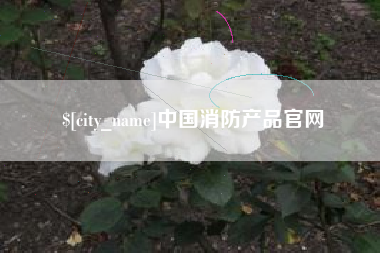 灌南中国消防产品官网
