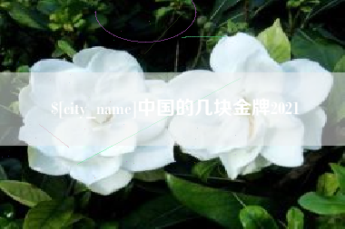 灌南中国的几块金牌2021