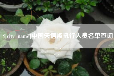 灌南中国失信被执行人员名单查询