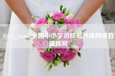 灌南全国中小学消防公开课网络直播视频