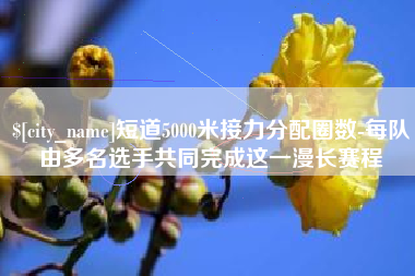 灌南短道5000米接力分配圈数-每队由多名选手共同完成这一漫长赛程