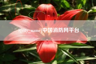 灌南中国消防网平台