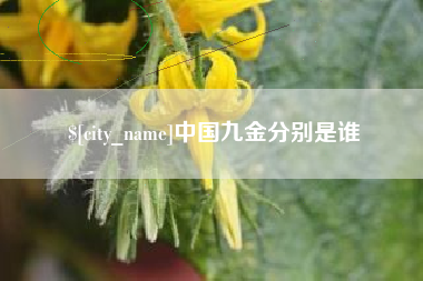 灌南中国九金分别是谁