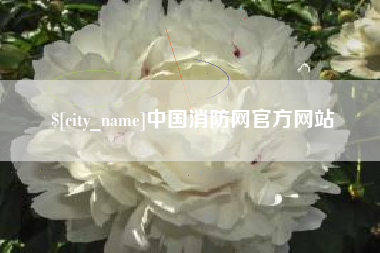 灌南中国消防网官方网站