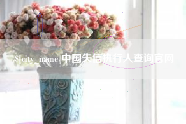 灌南中国失信执行人查询官网