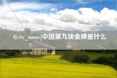 灌南中国第九块金牌是什么
