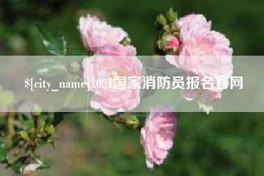 灌南2021国家消防员报名官网