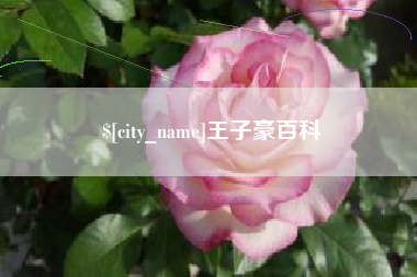 灌南王子豪百科