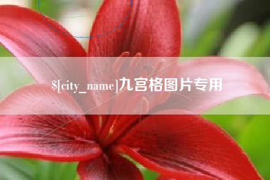 灌南九宫格图片专用