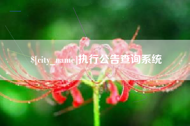 灌南执行公告查询系统