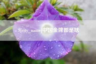 灌南中国金牌都是啥