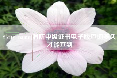 灌南消防中级证书电子版查询多久才能查到