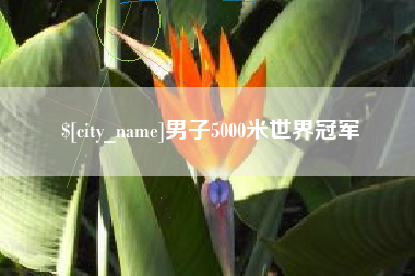 灌南男子5000米世界冠军