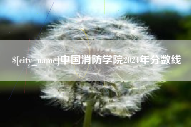灌南中国消防学院2024年分数线