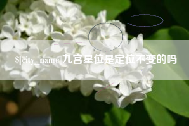 灌南九宫星位是定位不变的吗