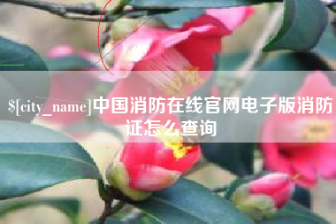 灌南中国消防在线官网电子版消防证怎么查询