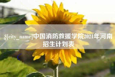 灌南中国消防救援学院2021年河南招生计划表