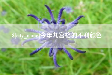 灌南今年九宫格的不利颜色