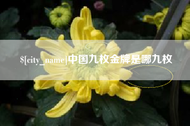 灌南中国九枚金牌是哪九枚